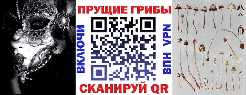 Галлюциногенные грибы Psilocybine cubensis  Муравленко 